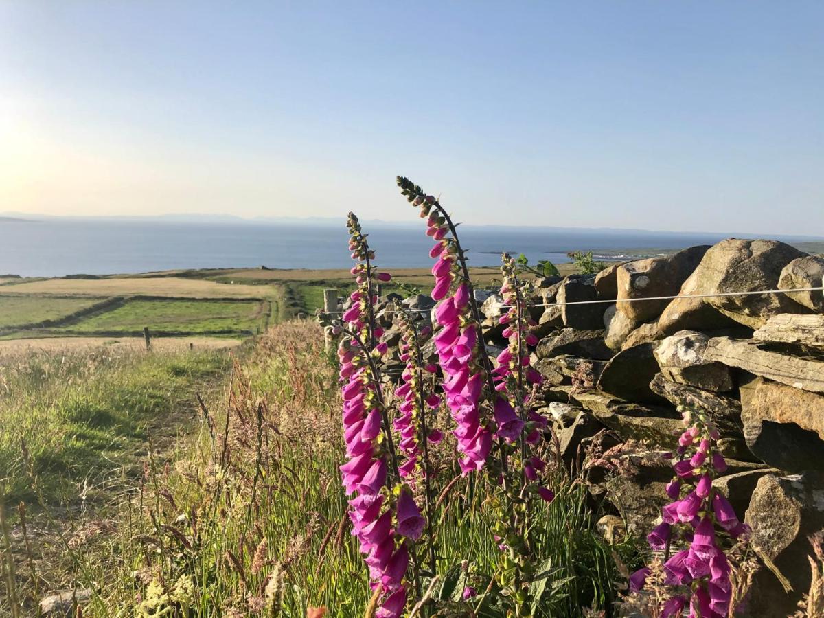 Ocean View Guestrooms Doolin Luaran gambar